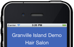 Mobile booking site for clients