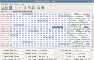 The usual offset-hex-ascii view and the pattern highlight feature.