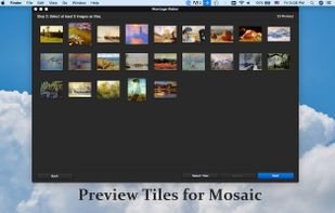 tiles of mosaic