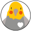 PikaOS icon