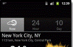 Palmary Weather screenshot 1