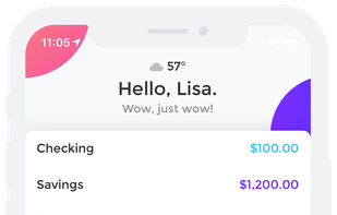 Emma Budget Manager screenshot 1