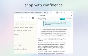 surfmind screenshot 2