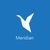 Meridian icon