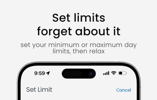 Sarmiza screenshot 2