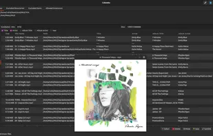 Czkawka screenshot 1