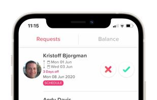 Pending requests from the approvers' view