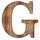 G-Earth icon