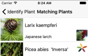 iPflanzen screenshot 2