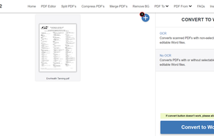 Click convert to word button