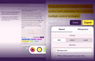 Wonders AI Annotate & Export
