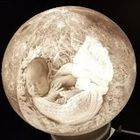 Lithophane Maker icon