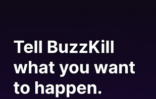 Buzzkill screenshot 1
