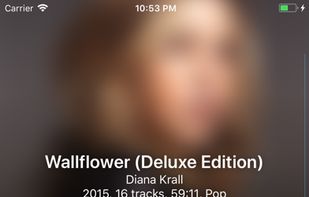 play:Sub Music Streamer screenshot 1