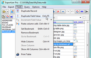 Exportizer screenshot 2