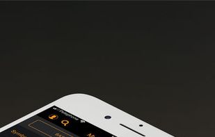 TipRanks screenshot 1