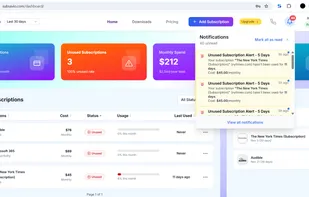 Subsavio Client Dashboard