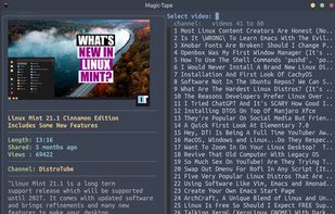 magic-tape video list with image preview & video data 