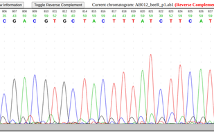 Sequence Chromatogram Viewer screenshot 1