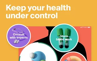 Ornament screenshot 1