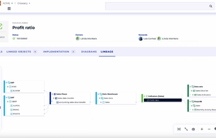DataGalaxy screenshot 2