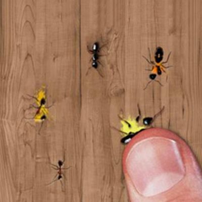 Ant Smasher 2d Games on Behance