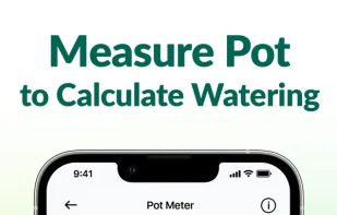 Plantum screenshot 3