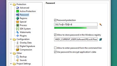 Application password protection