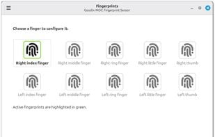 Fingwit screenshot 1