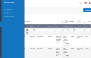 Magento 2 Admin View Extension screenshot 3