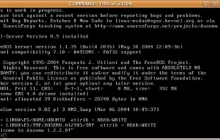 DOSEMU screenshot 1