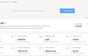 Website Traffic Detail