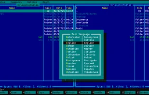 UI language selection