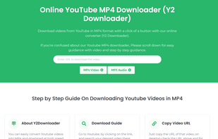 Y2Downloader screenshot 1
