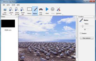 Main interface