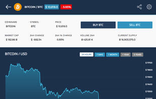 Coin history, charts, and snapshot