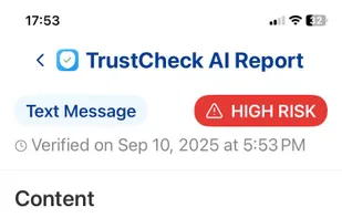 Suspicious Message Report 2025