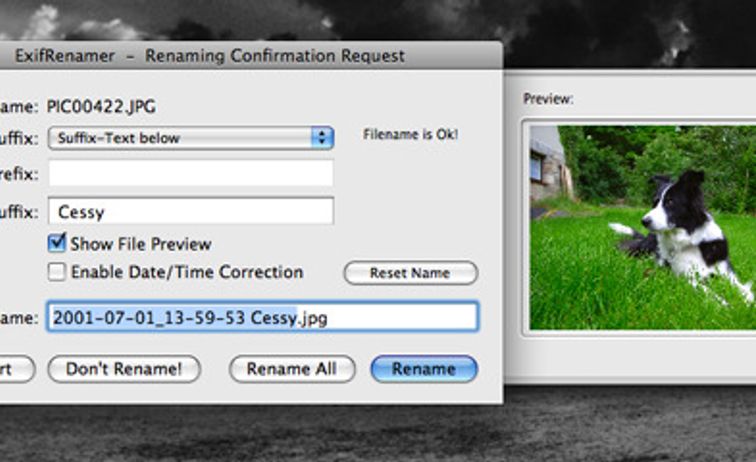 Picture Information Extractor Alternatives: Top 10 File Renamers ...