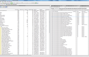 A1 Website Analyzer screenshot 2