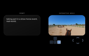 DeepMind Genie screenshot 1