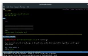 using lynx