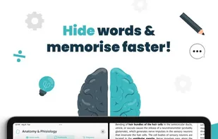 Voovo: AI Study Flashcards screenshot 3