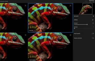 Topaz Gigapixel screenshot 3