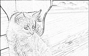 Edge detection algorithm