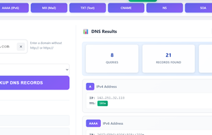 DNS lookup tool screen showing a query for google.com: on the left, domain and DNS server selection with a “Lookup DNS Records” button; on the right, a results summary (queries, records found, response time) and detailed DNS record cards (A, AAAA, etc.).