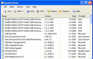 Double Driver screenshot 1
