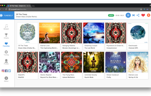 Tuneself screenshot 2