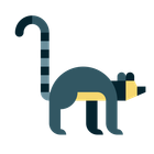 lemurs icon