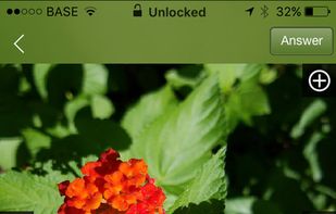 Plantifier screenshot 3