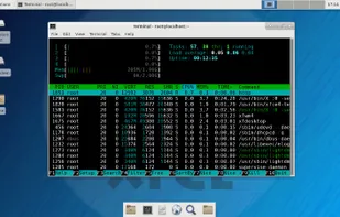 Hyperbola GNU/Linux-libre screenshot 2